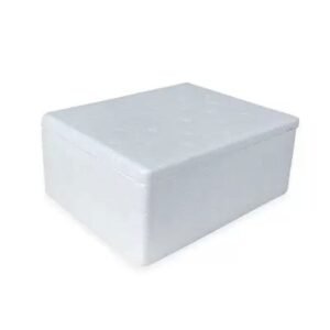CAIXA TERMICA ISOPOR 0,80LT PM074 STYROCORTE