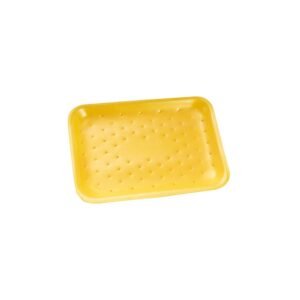 BD ISOPOR 04SLE 23,8X18,1X1,4 AM DRYSTAR DARNEL