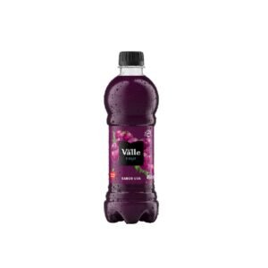 SUCO DEL VALLE FRUT UVA 450ML PET FEMSA