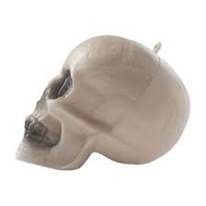 CRANIO 12CM BRFESTAS