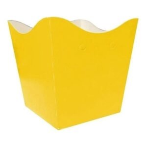 CACHEPO MEDIO AMARELO UN KAIXOTE