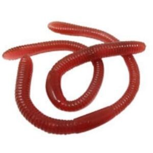 MINHOCA FAKE 5UN BRFESTAS